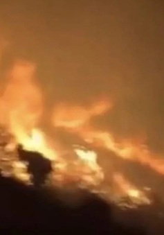 Trung Quốc: Thiêu rụi cả cánh rừng vì đốt pháo hoa chụp ảnh
