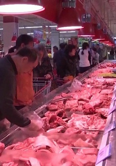 Trung Quốc đẩy nhanh nỗ lực phục hồi hoạt động sản xuất thịt lợn