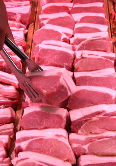 Trung Quốc ngừng nhập khẩu thịt lợn từ Indonesia do dịch tả lợn châu Phi