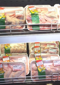 Giá thịt gà ở Hà Nội tăng theo giá thịt lợn