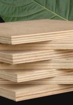 Hàn Quốc điều tra chống bán phá giá với sản phẩm gỗ dán Việt Nam