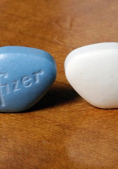 Pfizer Nhật Bản thu hồi thuốc huyết áp chứa chất gây ung thư