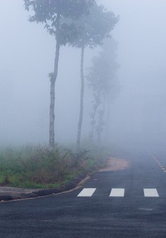 Gió Đông - Đông Nam đưa ẩm vào gây sương mù ở Bắc miền Trung