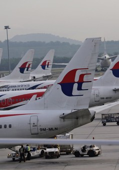 Hãng hàng không Malaysia Airlines có thể bị đóng cửa