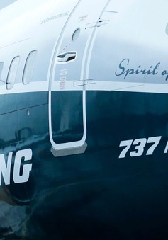 Hàng không Anh ngừng khai thác máy bay Boeing 737 MAX