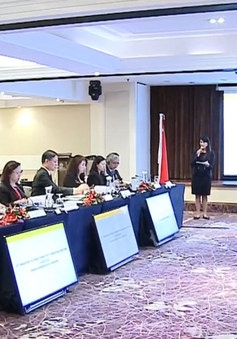 Hội nghị cấp Bộ trưởng lần thứ 14 về Kết nối kinh tế Việt Nam - Singapore