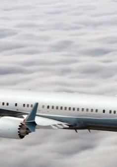 Mỹ đền bù hành khách bị hủy chuyến trên máy bay 737 Max