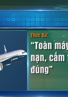 Dư luận đồng tình việc cấm Boeing 737 Max vào không phận Việt Nam