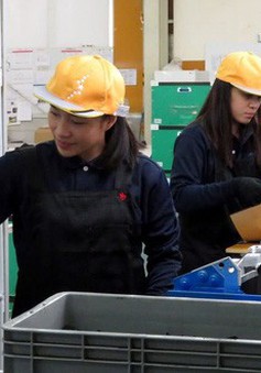 Nhiều lao động nước ngoài ở Nhật bỏ trốn vì lương thấp