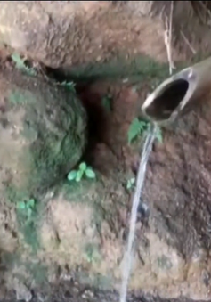 Nhiều buôn làng ở Tây Nguyên thiếu nước sinh hoạt nghiêm trọng do hạn nặng