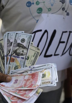 Peru thu giữ lượng tiền USD giả kỷ lục