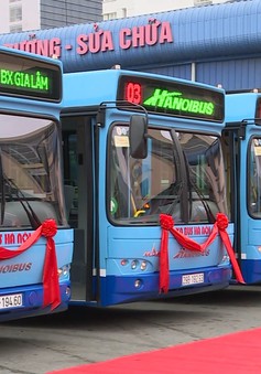 Thêm tuyến bus chất lượng cao Hà Đông - sân bay Nội Bài