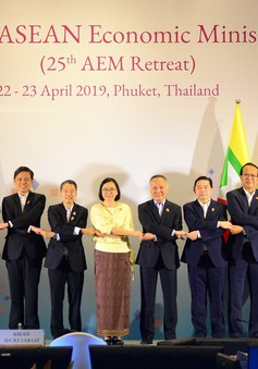 Hội nghị hẹp Bộ trưởng Kinh tế ASEAN lần thứ 25
