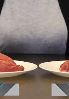 Cách phân biệt thịt bò giả