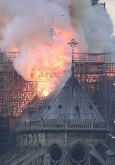 Pháp cảnh báo nguy cơ nhiễm độc chì sau vụ cháy Nhà thờ Đức Bà Paris