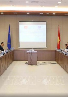 Phiên họp lần thứ nhất Ủy ban Hỗn hợp Việt Nam – EU