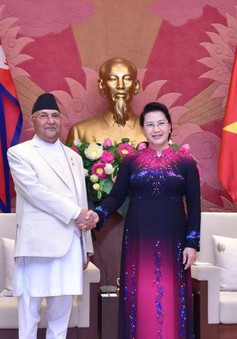 Chủ tịch Quốc hội hội kiến Thủ tướng Nepal