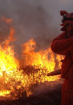 Cháy rừng lan rộng ở Tây Nam Trung Quốc