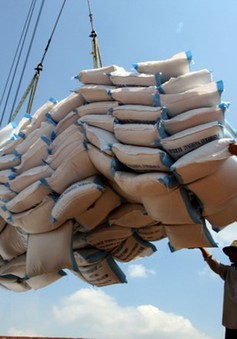 Đáp ứng tiêu chuẩn chất lượng, kiểm dịch để đẩy mạnh xuất khẩu gạo sang Trung Quốc