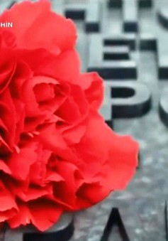 Nga: Hoa cẩm chướng đỏ dành cho cựu chiến binh