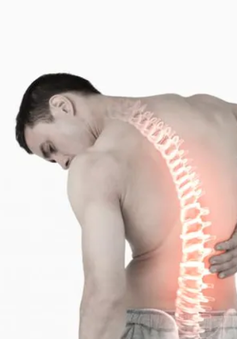 Bệnh đau lưng ảnh hưởng tới sức khỏe và chất lượng cuộc sống