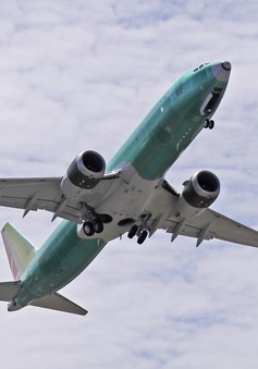 Phi công Mỹ kêu gọi nâng cao chương trình huấn luyện bay đối với Boeing MAX 737