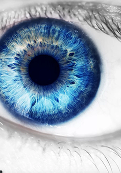 Mắt người cũng có rất nhiều vi khuẩn?