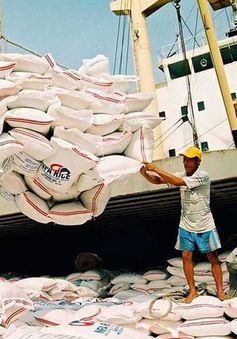 Xuất khẩu gạo sụt giảm trong những tháng đầu năm 2019