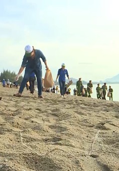 Ninh Thuận: Dọn sạch biển hưởng ứng Ngày Môi trường Thế giới