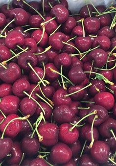 Cherry Mỹ ồ ạt về Việt Nam với giá rẻ