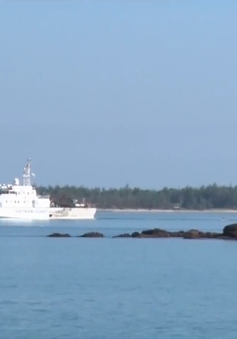 Tàu cá và 6 ngư dân Quảng Ngãi gặp nạn đã về bờ an toàn