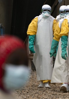 Bộ trưởng Bộ Y tế Congo từ chức vì để dịch Ebola hoành hành