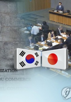 WTO họp về tranh chấp thương mại Nhật Bản - Hàn Quốc