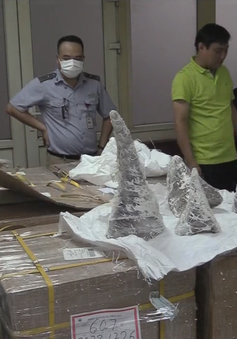 Bắt giữ gần 130kg sừng tê giác tại sân bay quốc tế Nội Bài