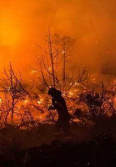 EU điều máy bay cứu hỏa hỗ trợ Hy Lạp dập cháy rừng