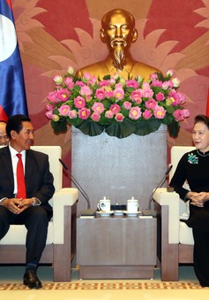 Không ngừng củng cố và phát triển quan hệ Việt Nam-Lào