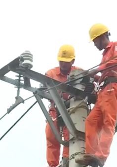 Quảng Bình đảm bảo an toàn lưới điện trước mùa mưa bão