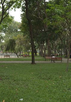Hàng loạt công viên sai chức năng sử dụng