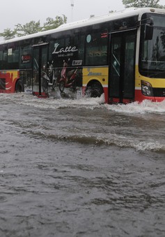 Chùm ảnh: Hà Nội có nhiều điểm ngập nước, cây đổ ảnh hưởng đến giao thông