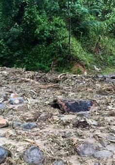 Thiệt hại do bão số 3: 18 người chết và mất tích, nông nghiệp và giao thông chịu ảnh hưởng nặng nề