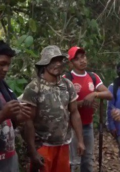 Những "vệ binh" rừng già quyết chiến với lâm tặc phá rừng Amazon