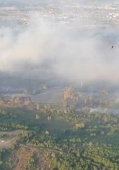 Nỗ lực dập tắt cháy rừng tại Tây Ban Nha