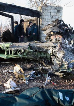 Iran thông báo bắn nhầm máy bay chở khách của Ukraine