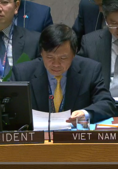 Việt Nam chủ trì Phiên họp của Hội đồng Bảo an LHQ thảo luận về tình hình Yemen
