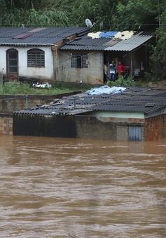 30 người thiệt mạng do lũ lụt tại Brazil