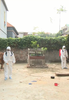 Việt Nam chưa có ca bệnh mắc virus Corona do lây lan trong cộng đồng