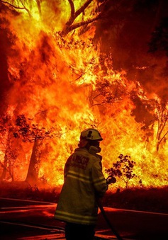 Australia đã có mưa lớn, thảm họa cháy rừng vẫn có thể quay lại