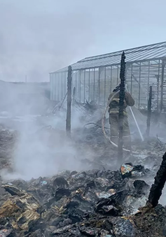 Vụ cháy nhà kính ở Nga: ĐSQ Việt Nam tại Nga xác minh thông tin người Việt gặp nạn