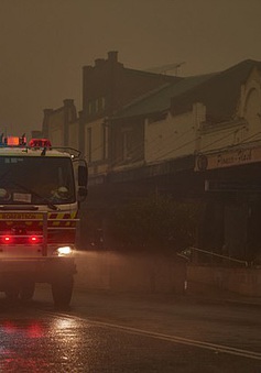 Cơn mưa "vàng" xoa dịu thảm họa cháy rừng ở Australia