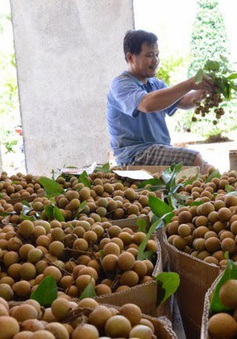 Việt Nam đặt mục tiêu lọt top 5 quốc gia xuất khẩu rau quả lớn nhất thế giới